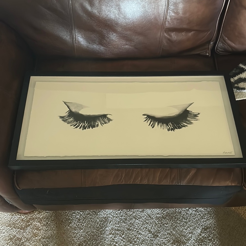 Brand new framed painting